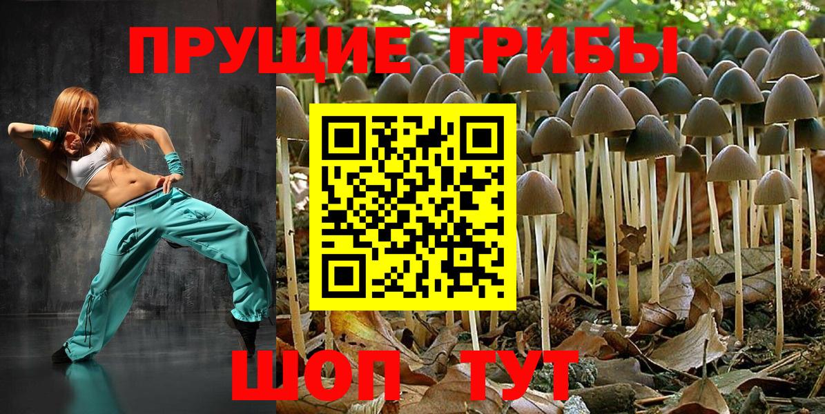 Псилоцибиновые грибы GOLDEN TEACHER Старая Купавна